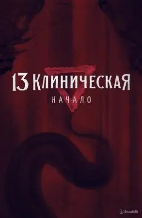 13 клиническая. Начало